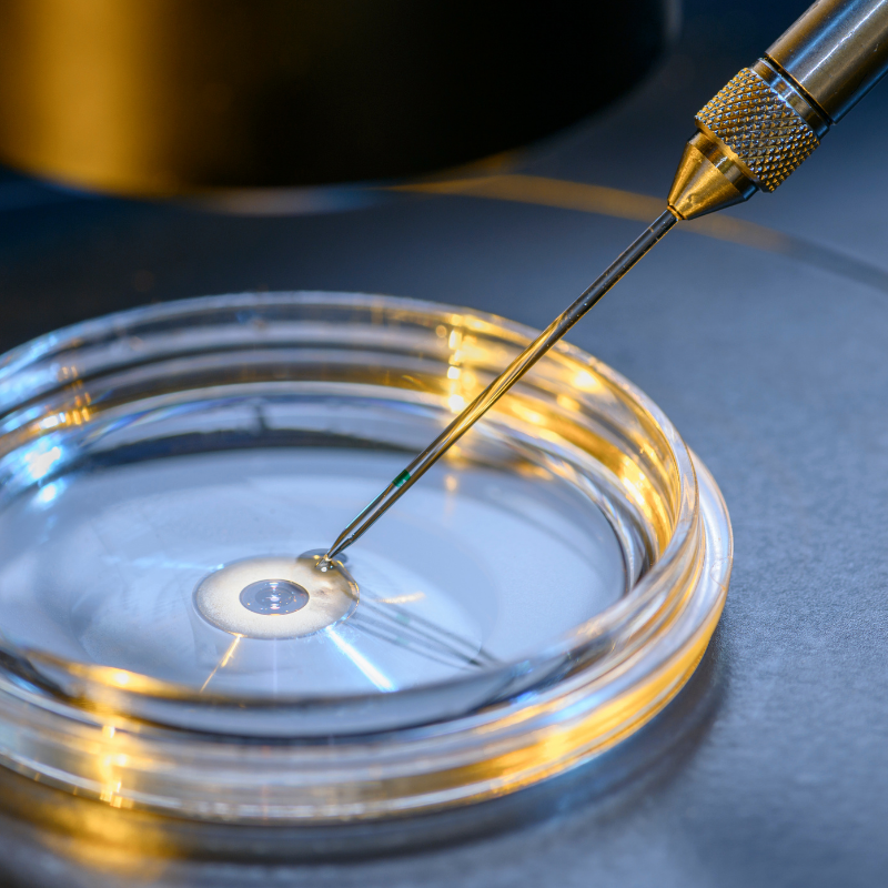 how-to-prepare-for-a-frozen-embryo-transfer-process-step-by-step