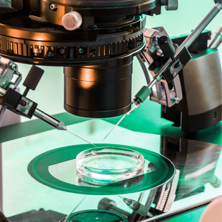 What Is IVF?