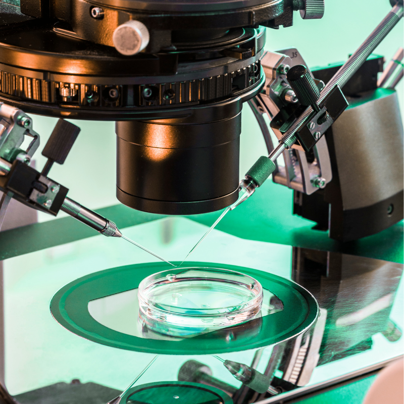 How To Prepare For A Frozen Embryo Transfer Process Step By Step 